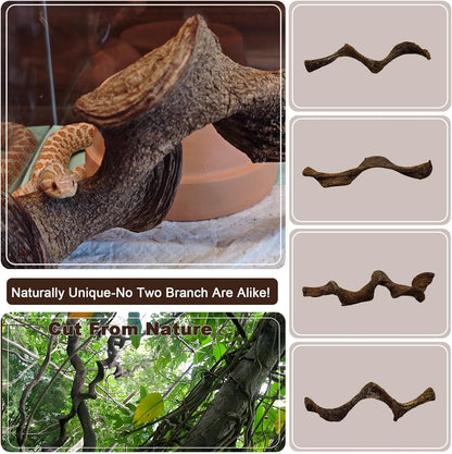 BNOSDM 4Pcs Reptile Climbing Branches Decor,Snake Climbing Branch,Gecko Climb Wood,Lizard Forest
