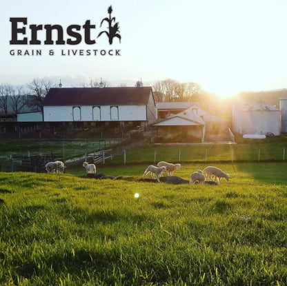 Ernst Grain & Livestock Bird and Wildlife Feed – Perfect for Birds, Ducks, Squirrels, Turkeys