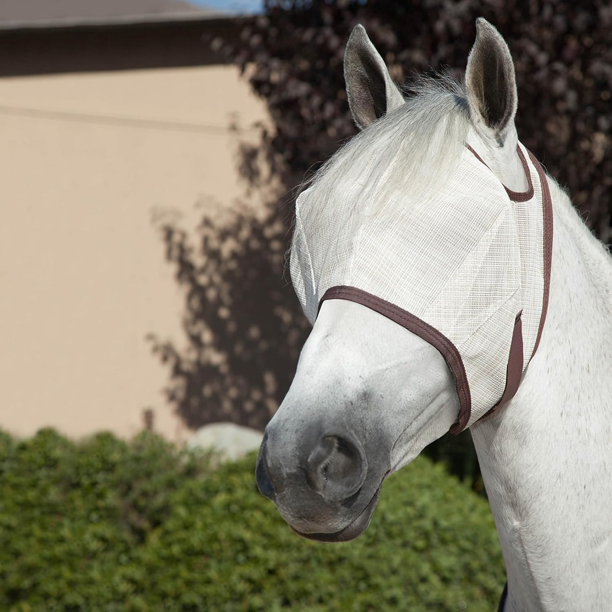Kensington Fly Mask Web Trim Protects Horses Face and Eyes from Bites and Sun Rays While Allowing