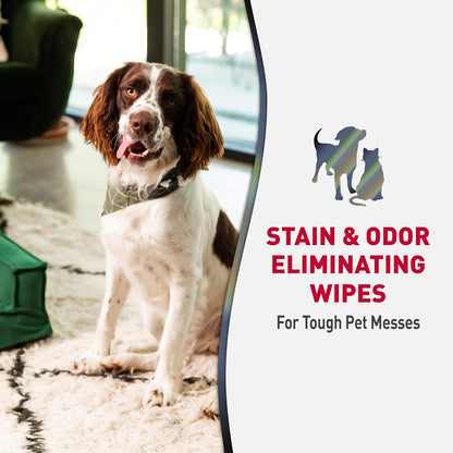 Nature’s Miracle Advanced Stain And Odor Eliminating Wipes for Hard Surfaces, 30 Count, Enzymatic