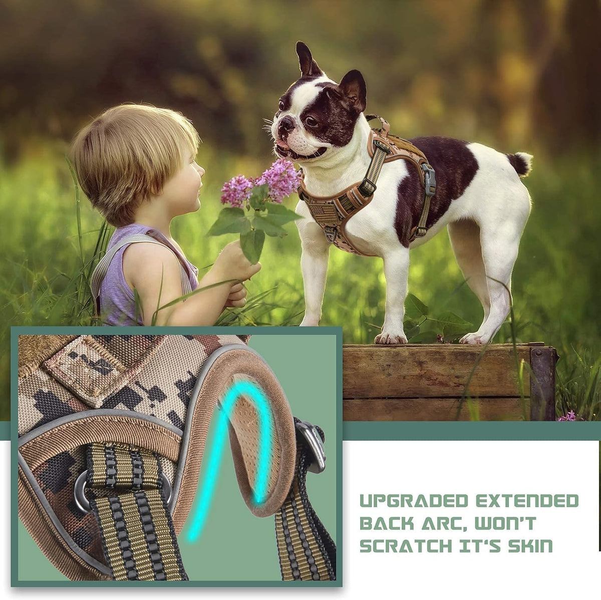 BUMBIN Tactical Dog Harness for Small Dogs No Pull, Famous TIK Tok No Pull Puppy Harness, Fit Smart