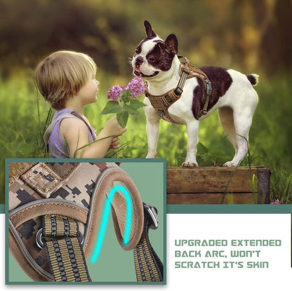 BUMBIN Tactical Dog Harness for Small Dogs No Pull, Famous TIK Tok No Pull Puppy Harness, Fit Smart