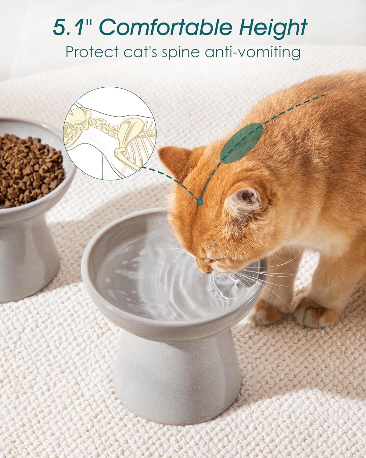 vancasso Ceramic Elevated Cat Bowls 2-Pack - 6.2" Extra Wide Raised Cat Food & Water Dishes, 5.1"