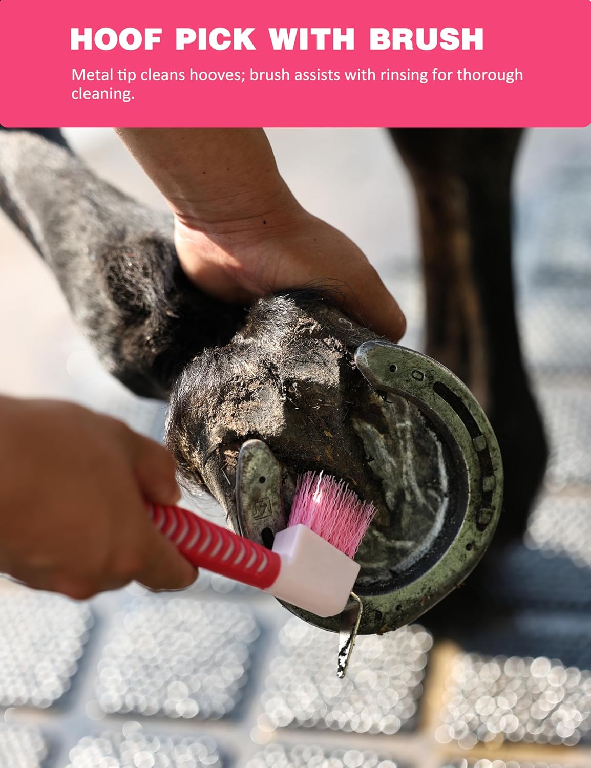 11PCS Horse Grooming Kit Curry Comb Sweat Scraper Horse Bathing Supplies Grooming Tools with