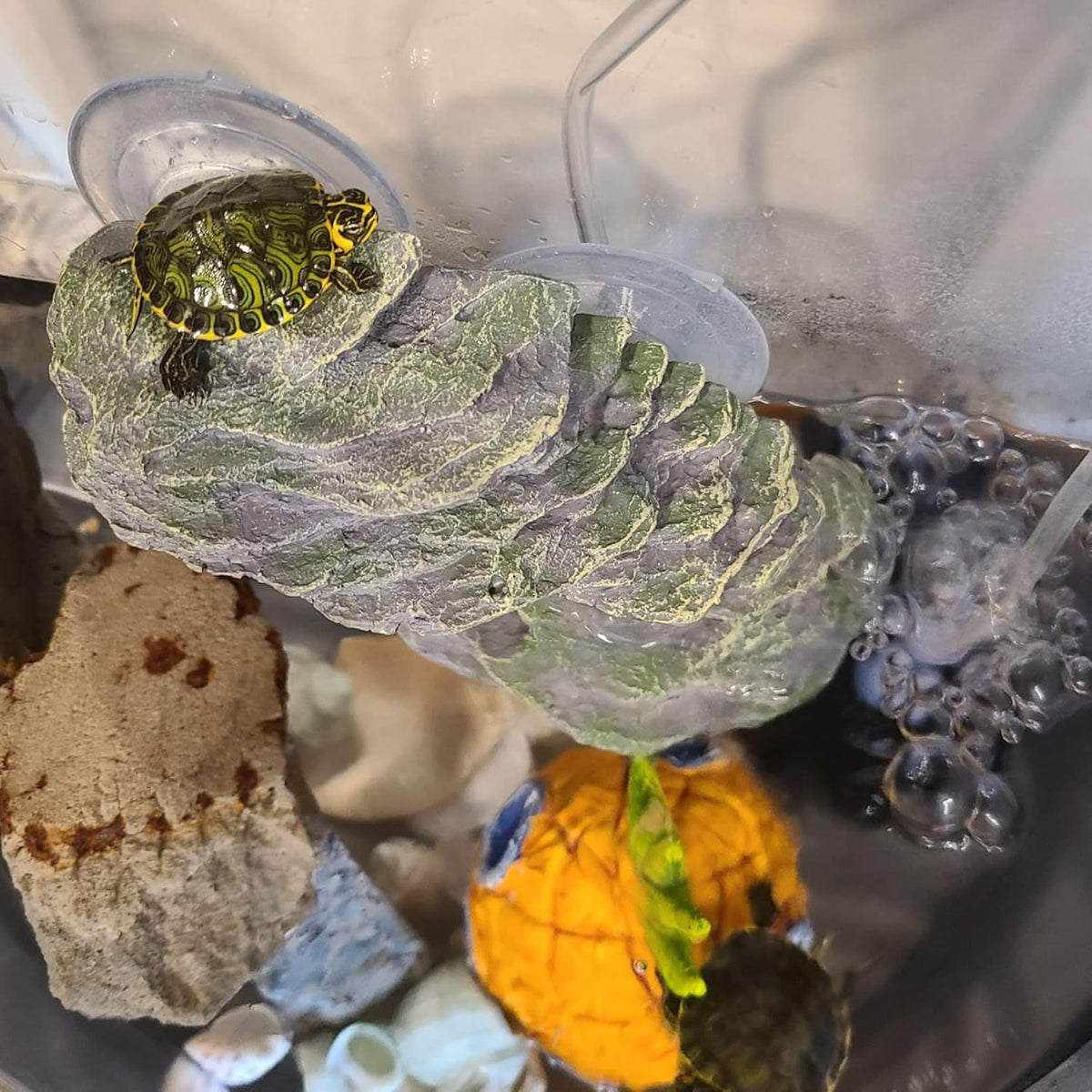 kathson Turtle Basking Platform with Suction Cup Tortoise Climbing Rest Terrace Resin Step