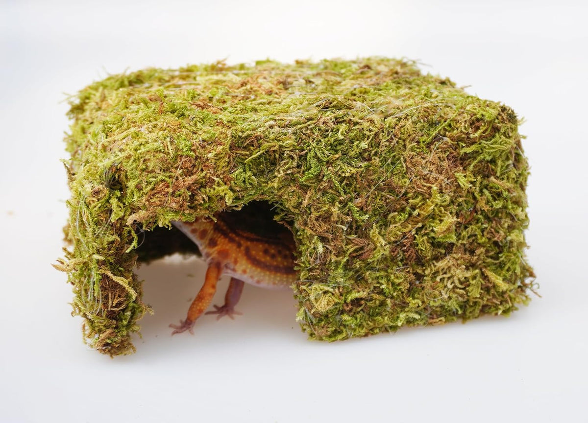 Leopard Gecko Tank Accessories, Cute Reptile Hideout Cave, Essential Tank Terrarium Habitat Decor