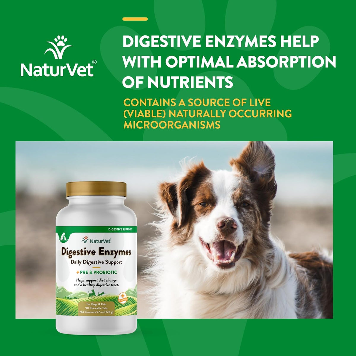 NaturVet Digestive Enzymes Plus Probiotics Supplement for Dogs, Soft Chews, Made in The USA with