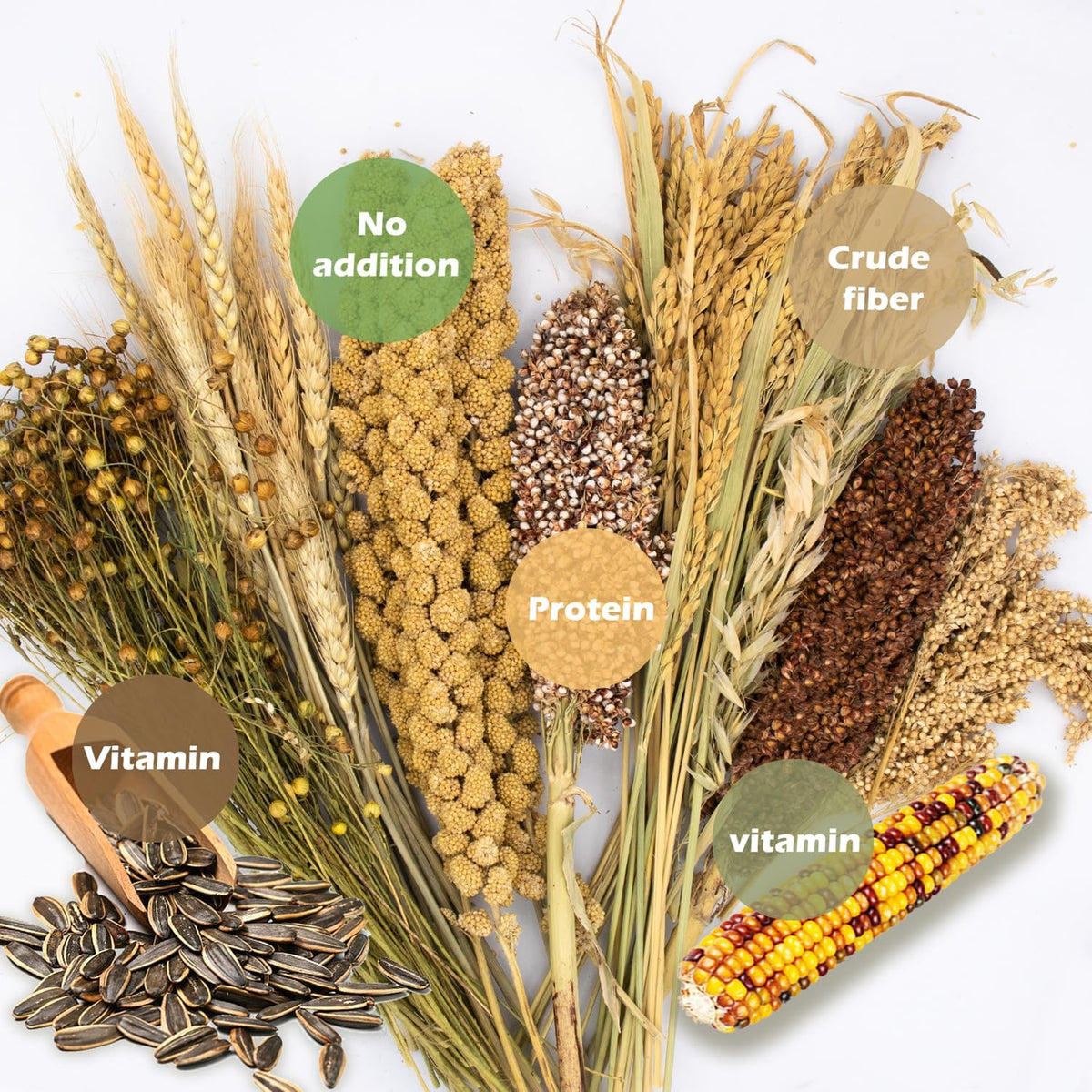 Natural Ear of Grain Flower&Herb Bedding Mate Habitat Decor, Adding Fun Hamster Accessories for