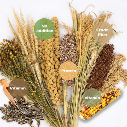 Natural Ear of Grain Flower&Herb Bedding Mate Habitat Decor, Adding Fun Hamster Accessories for
