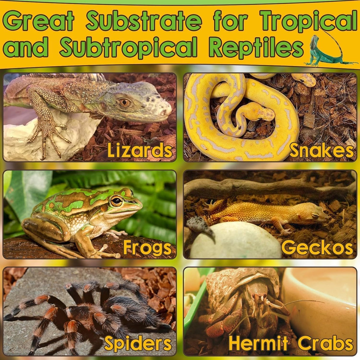 Halatool 2Pack Snake Bedding Natural Coconut Chips Substrate 2.2LB Coconut Husk for Reptiles Tank
