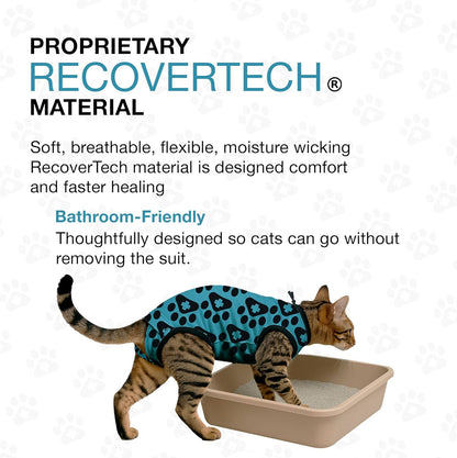 Bellyguard Cat Recovery Suit Female and Male, Comfy Onesie After Surgery, Kitten Clothes for