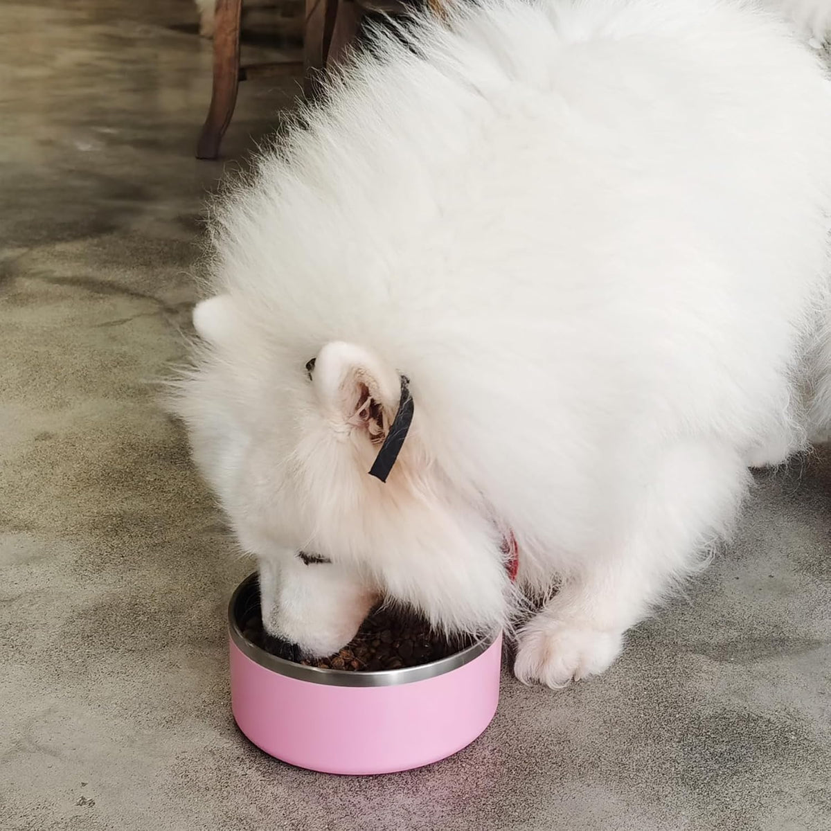 Stainless Steel Dog Bowl, Metal Water and Food Dish for Large Dogs, Insulated Non-Slip Pet Bowl