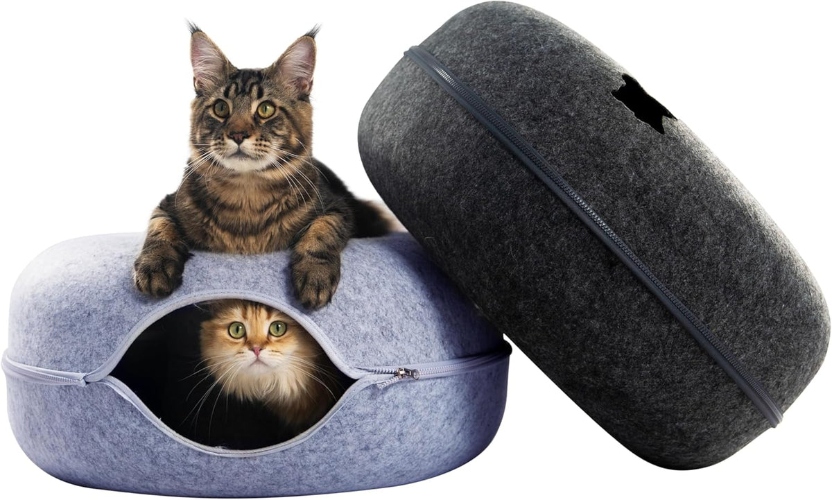 CATTASAURUS Peekaboo Cat Cave for Multiple & Large Cats Up to 30-45 Lbs, Scratch Detachable &