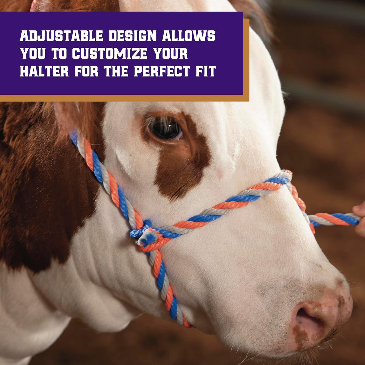 Weaver Livestock Braided Poly Rope Cattle Halter, Adjustable, Modern Style Cow Calf Halter