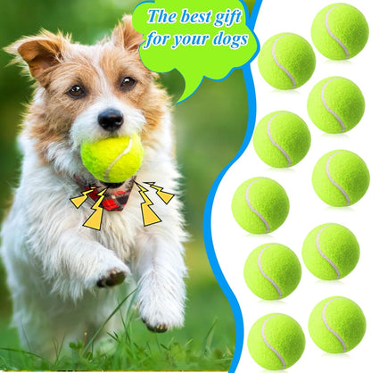 Skylety 100 Pcs 2.5 inch Squeaky Tennis Balls Bulk for Dogs Bouncy Floatable Tennis Balls Dog
