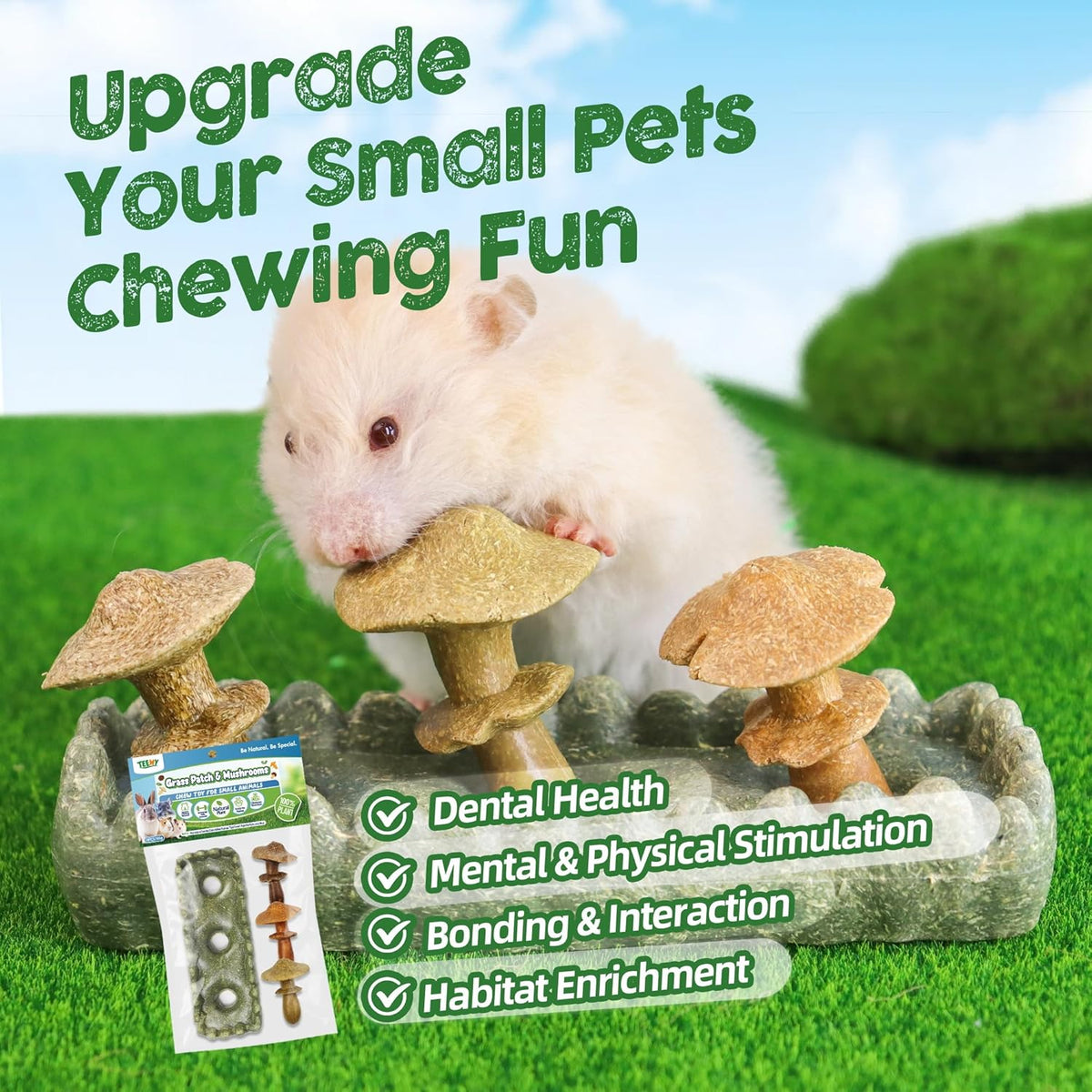 TEEWY 4PCS Guinea Pig Chew Toys, Prevent Teeth Overgrowth, Natural Vegetables and Timothy Grass
