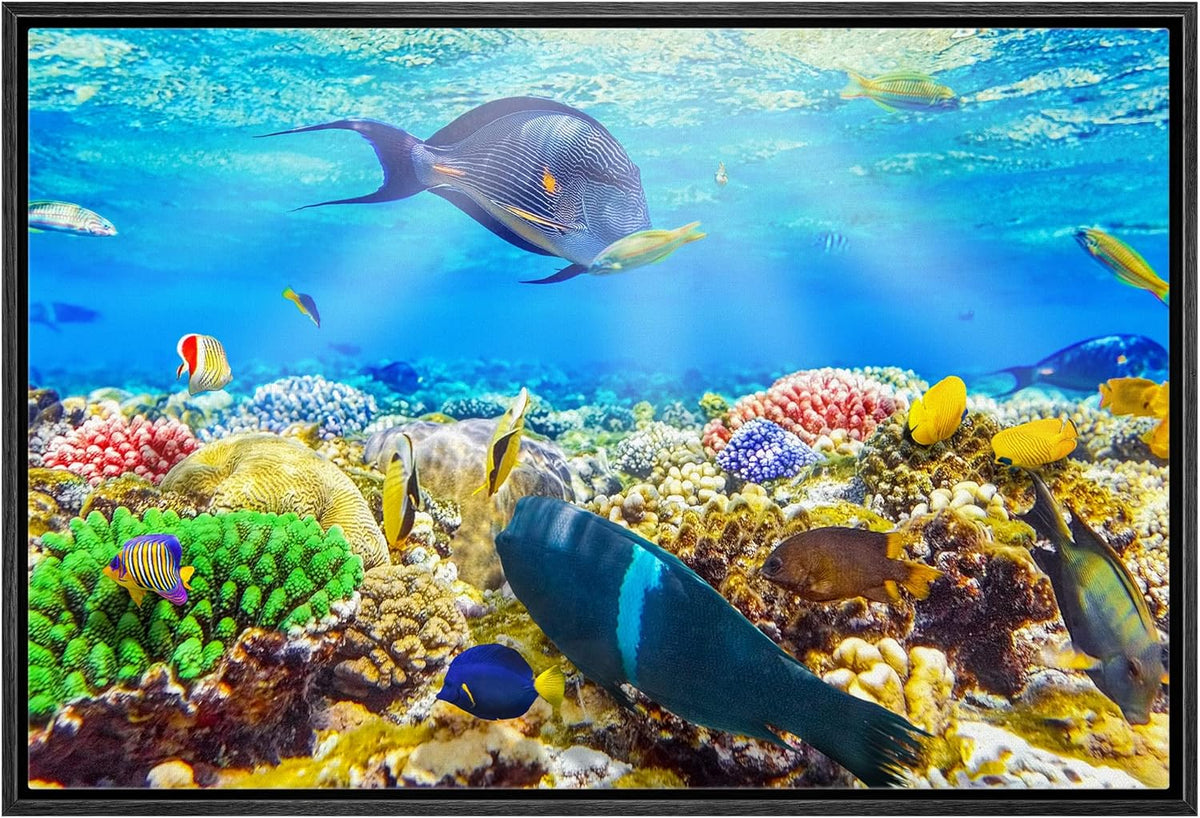 wall26 Framed Canvas Print Wall Art Sunlight Ocean Sea Coral Reef Anemone Fish Nature Animals