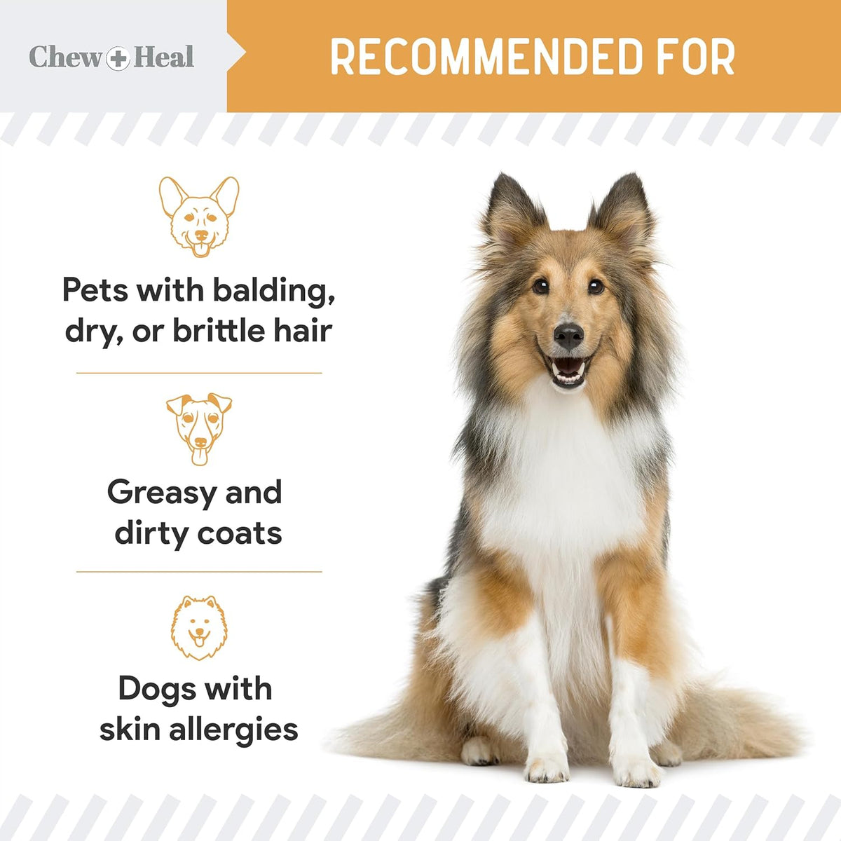 Omega 3 Fish Oil for Dogs -360 Soft Chew Omega Treats for Skin and Coat -Salmon Oil Blend of