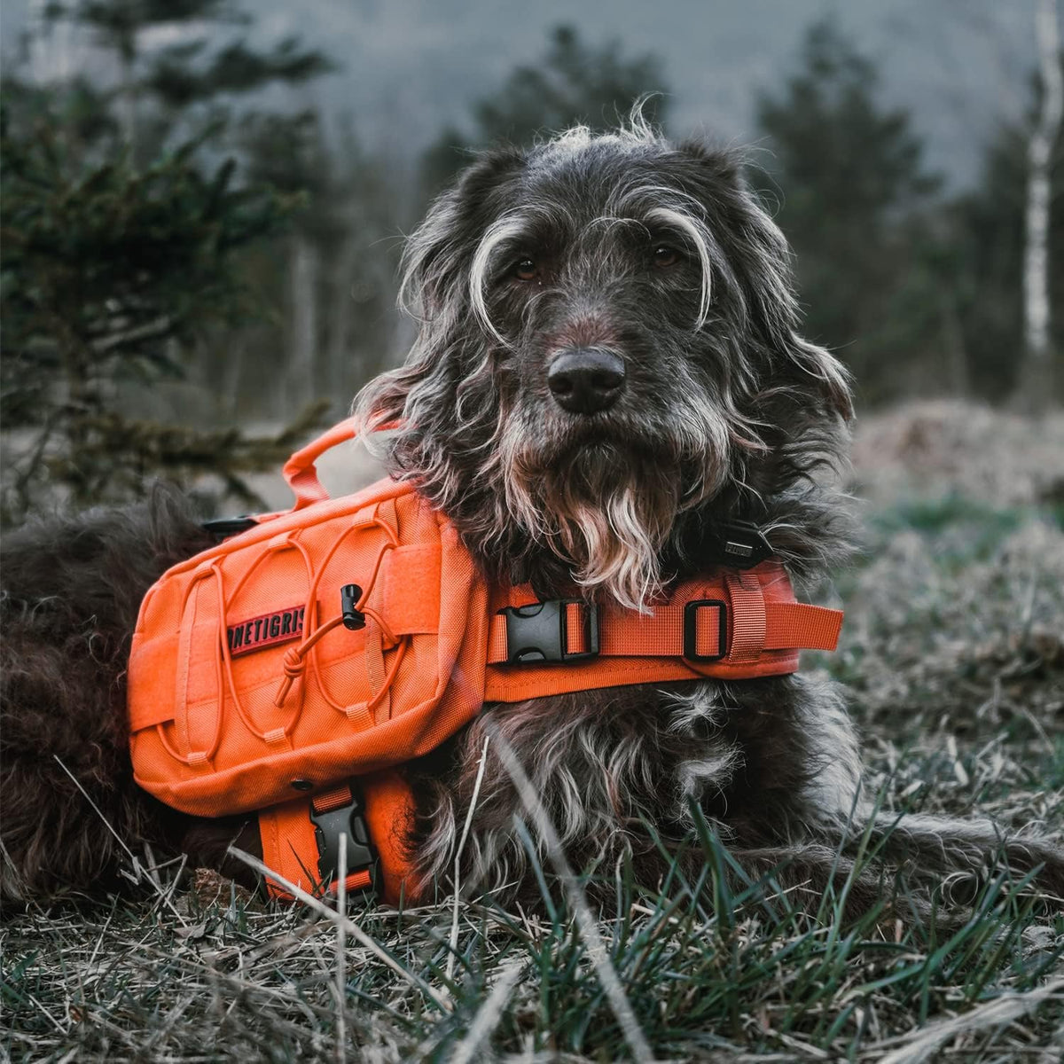 ONETIGRIS Dog Backpack for Medium & Large Dogs, Nylon Backpack for Dogs Tactical Pet Backpack with
