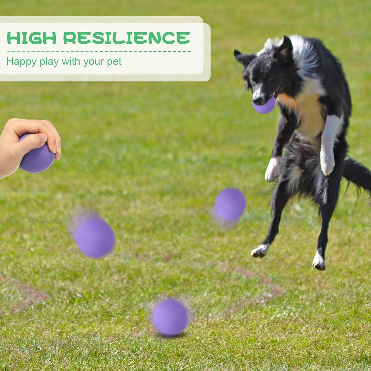 Shappy 24 Pieces Rubber Dog Tennis Balls for Dog Colorful Catching Pet Balls for Fetch Training 2.4