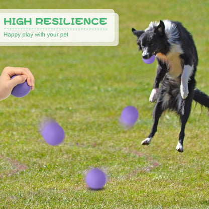 Shappy 24 Pieces Rubber Dog Tennis Balls for Dog Colorful Catching Pet Balls for Fetch Training 2.4