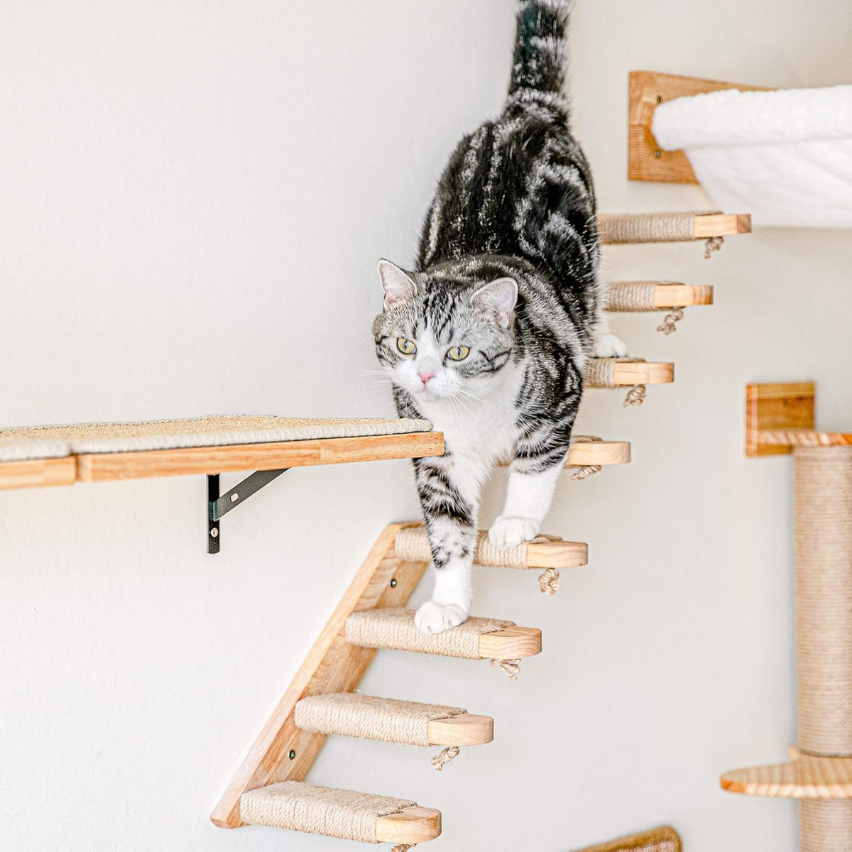 FUKUMARU Cat Wall Furniture, 3 Pack Cats Walls Shelves Set, Solid Rubber Wood Kitten Shelf for