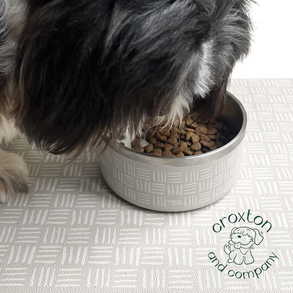 CROXTON & CO. Stainless Steel Pet Bowl for Dogs & Cats | Insulated Food Bowls for Dog Cat | No Tip