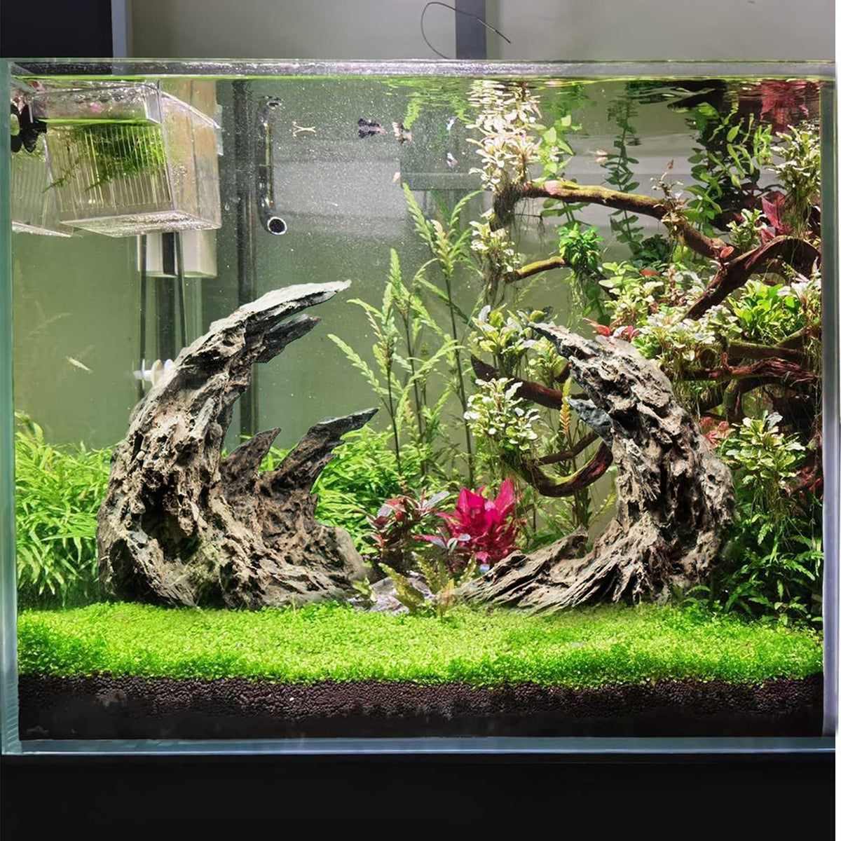 Novelsite Premium Large Sandstone Canyon Rock Formation - Lifelike Aquarium Decor for Fish Tank