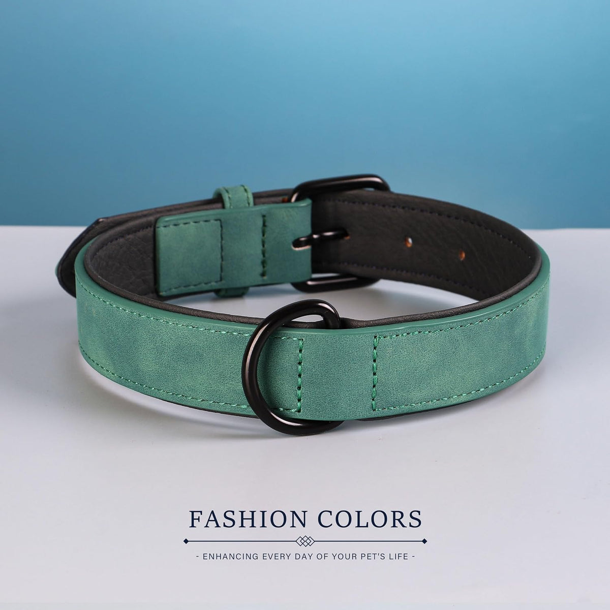 Didog Soft Padded Leather Dog Collar, Breathable Heavy Duty Dog Collar Leather with Adjustable