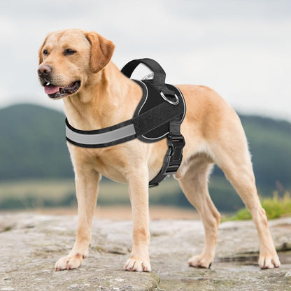 Haapaw Essential Dog Harness, No Pull Pet Vest with 3 Leash Clips, No Choke, Reflective, Adjustable