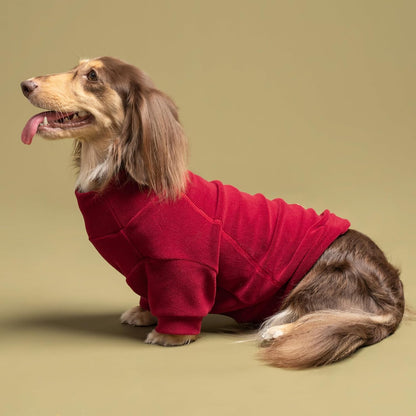 Fitwarm 3 Pack Classic Fleece Dog Sweater, Christmas Dog Winter Clothes for Small Dogs Boy Girl