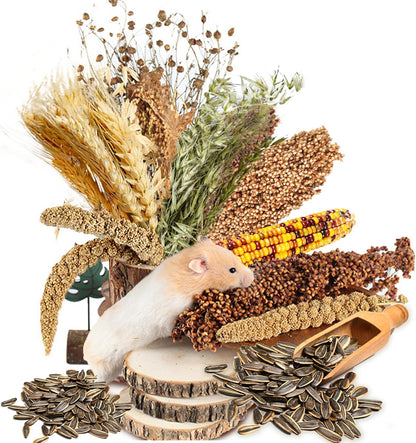 Natural Ear of Grain Flower&Herb Bedding Mate Habitat Decor, Adding Fun Hamster Accessories for