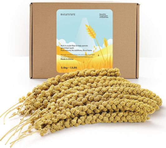 BUCATSTATE Spray Millet for Birds, Sun-Dried Healthy Millet Parakeet Treats for Parrots Cockatiel