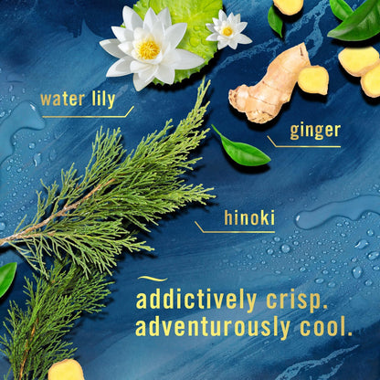 Febreze Bathroom Air Freshener, Odor-Fighting, Plug In Alternative, Air Fresheners for Home and