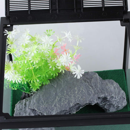 crapelles Glass Lizard Tank, Spider Box Kit, 7.8x7.8x5.9'' Tarantula Feeder Insects Beetle Habitat