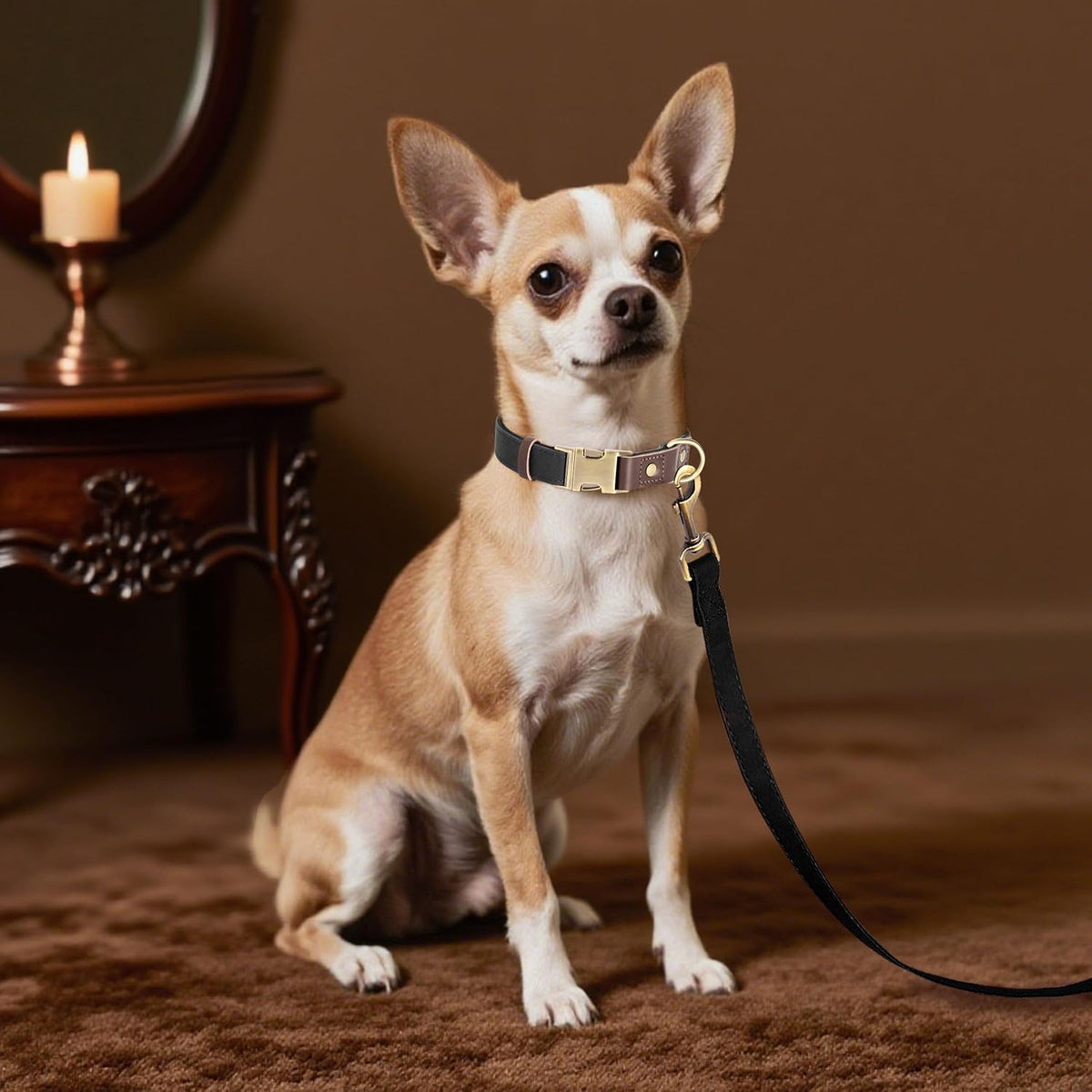Didog Soft PU Leather Dog Collars for Small Dogs,Classic Adjustable Dog Collars with Quick Release