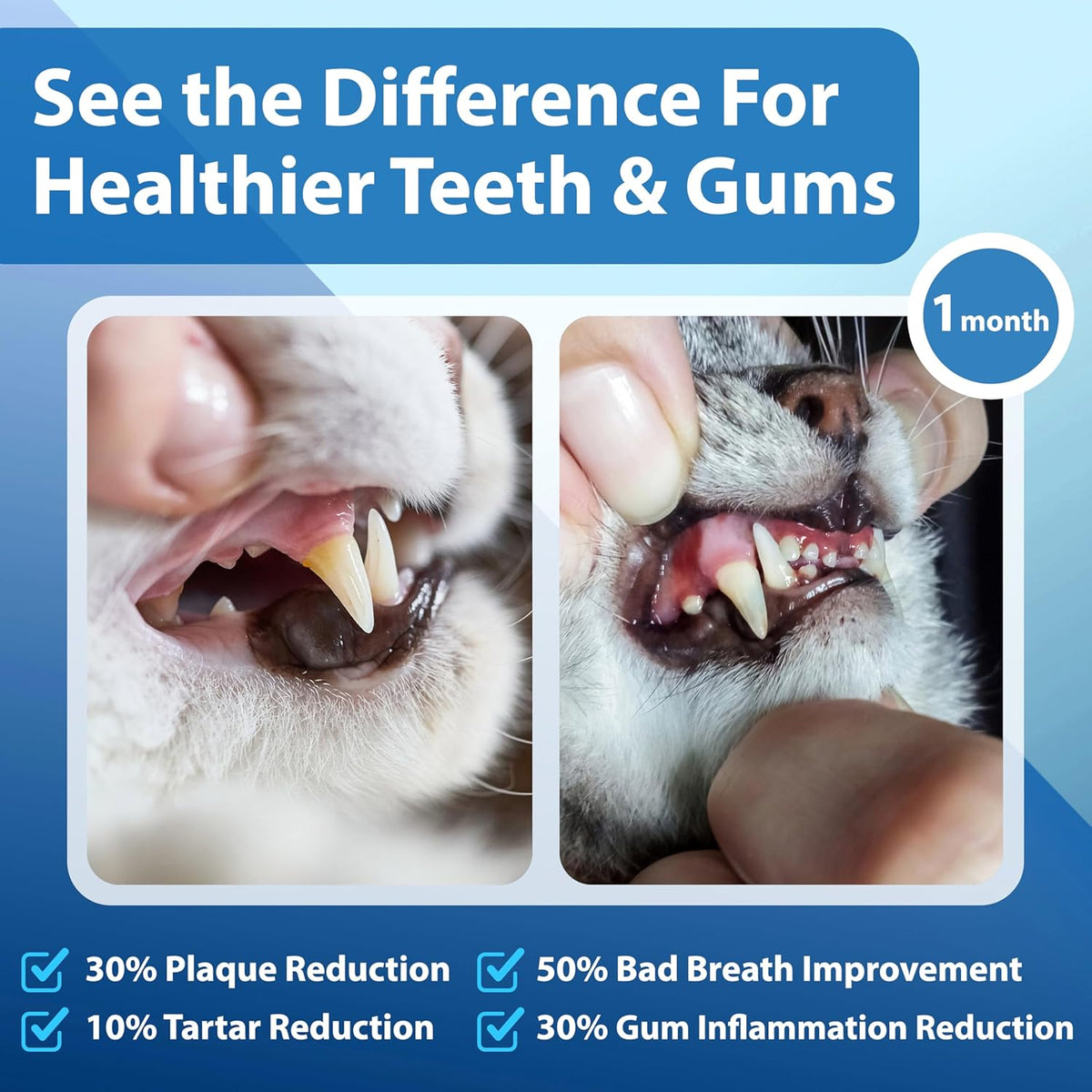 Cat Dental Care Powder Bad Breath Treatment for Cats Teeth, Mouth, Gums & Gut, Plaque Off,Tartar