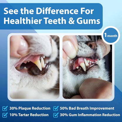 Cat Dental Care Powder Bad Breath Treatment for Cats Teeth, Mouth, Gums & Gut, Plaque Off,Tartar