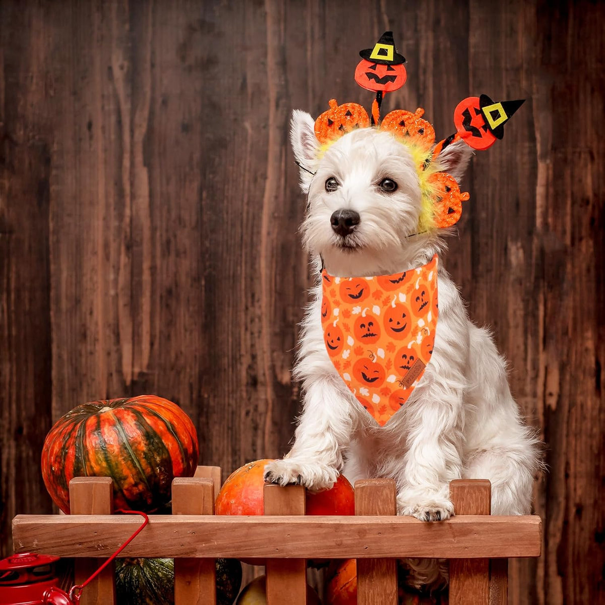PTDECOR Halloween Dog Bandana, Reversible Holiday Pet Scarf, Multi Size, Triangle Puppy Halloween