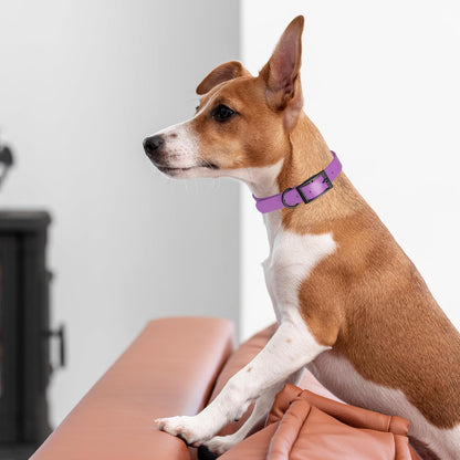 Dogline Biothane Waterproof Dog Collar Strong Coated Nylon Webbing with Black Hardware Odor- Proof