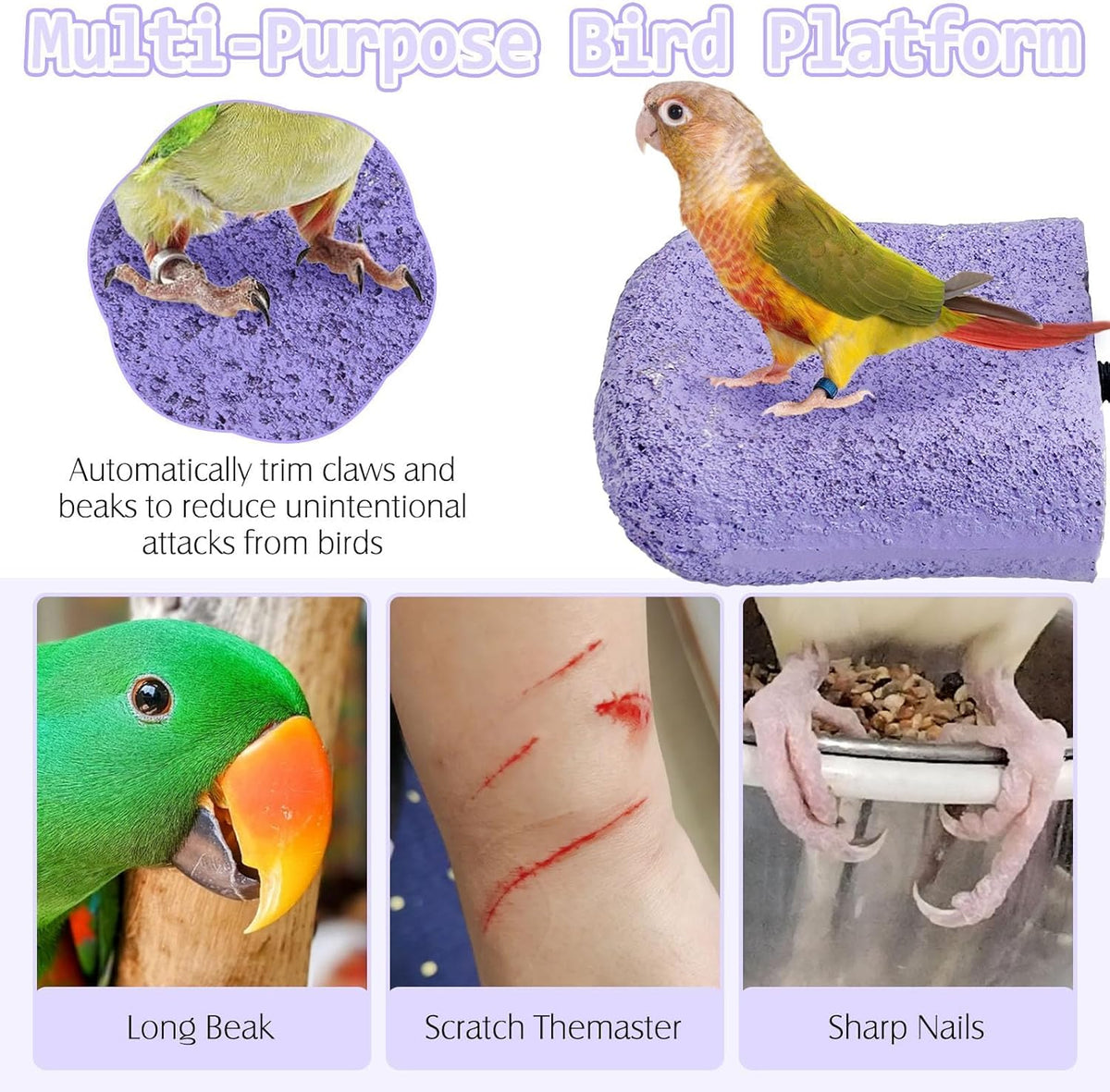PINVNBY 5 Pack Bird Perch Resin Bird Beak Grinding Stone Parrot Cage Perch Stand Platform Foot