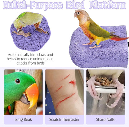 PINVNBY 5 Pack Bird Perch Resin Bird Beak Grinding Stone Parrot Cage Perch Stand Platform Foot