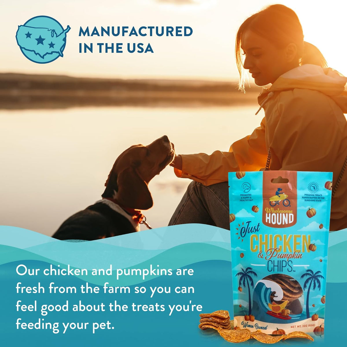 Chicken & Pumpkin Chips – Single Ingredient Dog Treats, All Natural & Healthy Training Snacks for