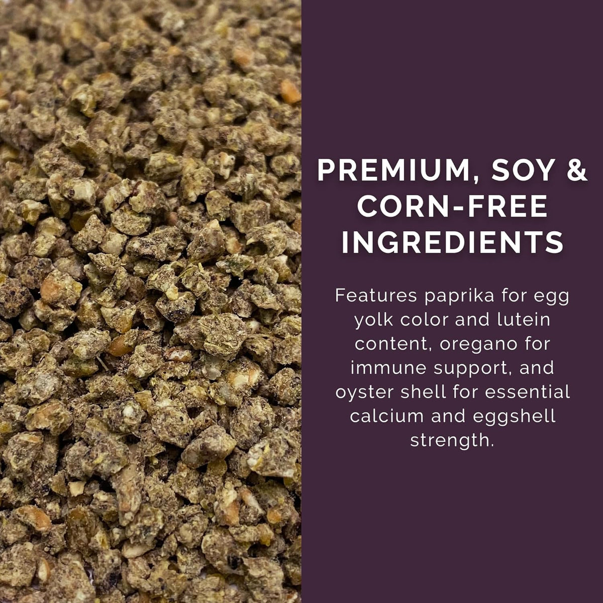 Layer Crumb Feed, 25lbs - Non-GMO, High-Protein Poultry Feed for Healthy Hens & Nutritious Eggs