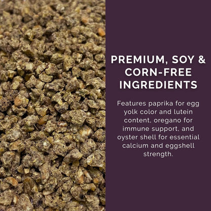 Layer Crumb Feed, 25lbs - Non-GMO, High-Protein Poultry Feed for Healthy Hens & Nutritious Eggs