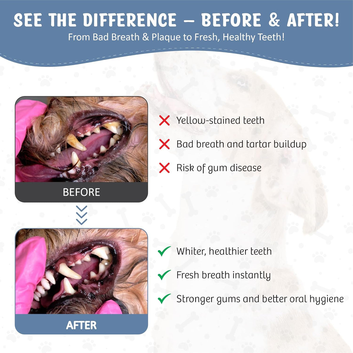 Dog Dental Spray Removes Tartar, Plaque and Freshens Breath Instantly. The Most Advanced Dental