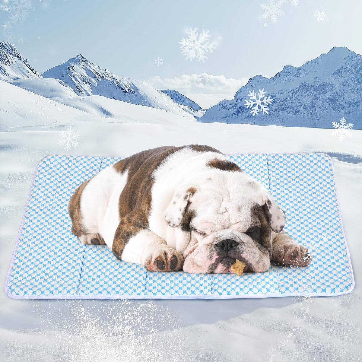 Dog Cooling Mat for Medium Dogs - 30x20 Orthopedic Memory Foam Pet Pad for Summer, QMAX>0.5