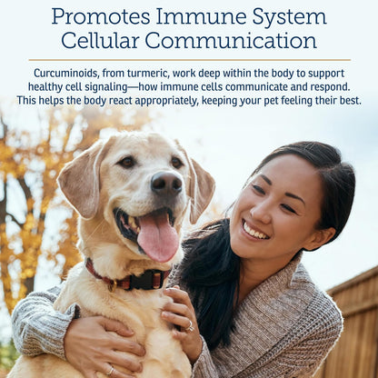 Rx Vitamins CurcuWIN - Curcumin for Dogs & Cats - Vitamins and Supplements, Allergy Relief