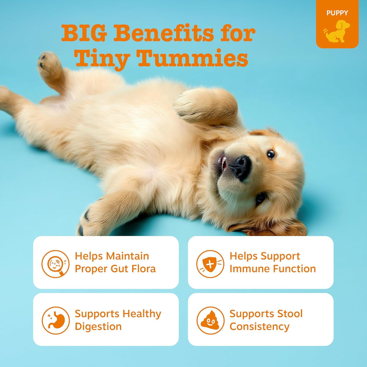 Zesty Paws Puppy Probiotics for Dogs - for Digestive Health, Gut Flora & Immune System Support