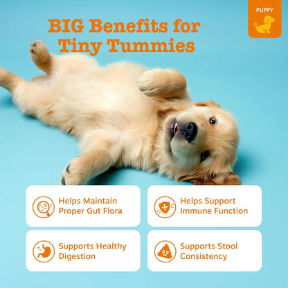 Zesty Paws Puppy Probiotics for Dogs - for Digestive Health, Gut Flora & Immune System Support